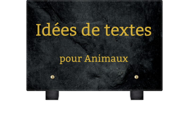 Idées de textes pour plaque funéraire animal