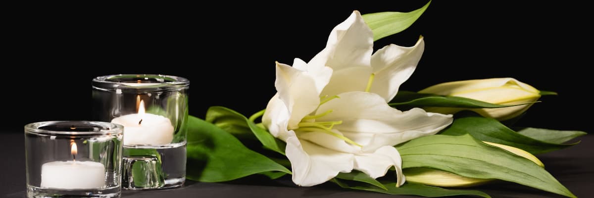Guide complet : Les fleurs lors des obsèques et leur symbolique profonde