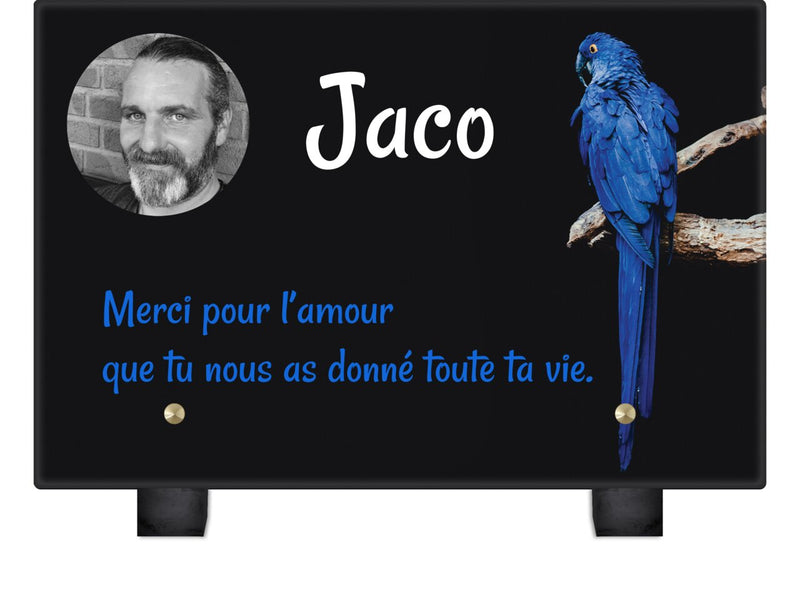 Plaque funéraire perroquet-bleu 6 Plaquedeces.fr

