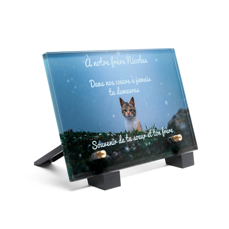 Plaque funéraire chat-en-pleine-nuit 4 Plaquedeces.fr