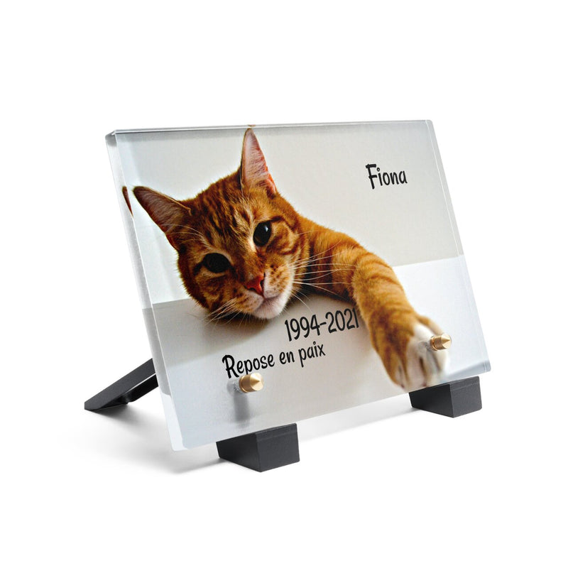 Plaque funéraire chat-orange 18 Plaquedeces.fr