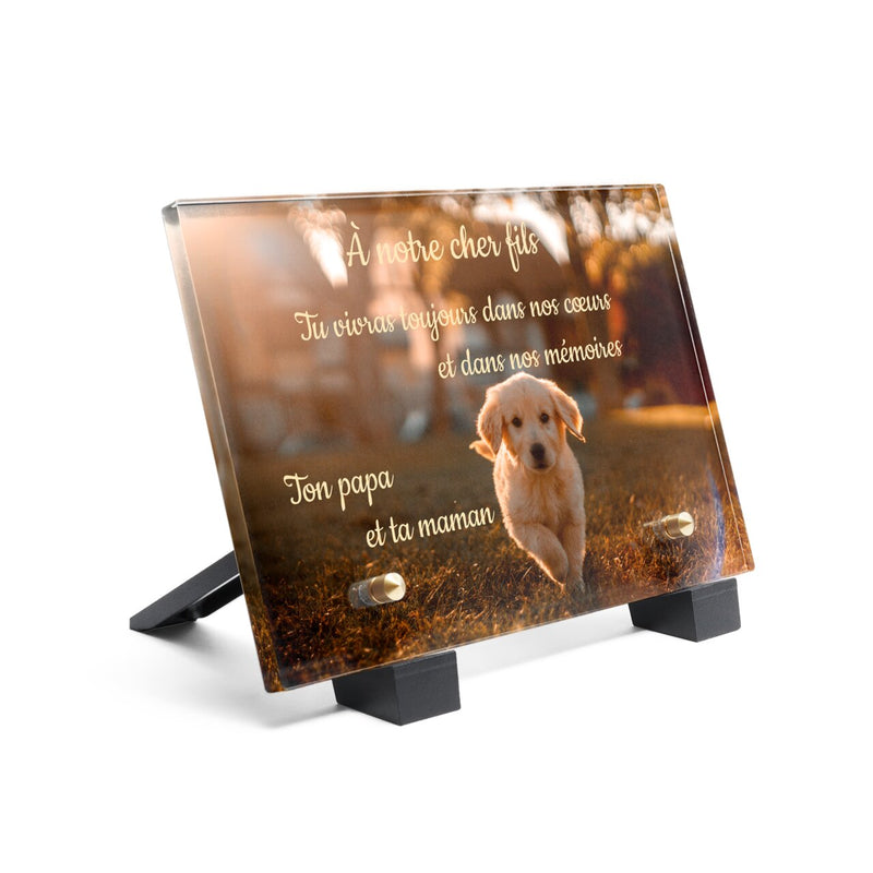 Plaque funéraire golden-retriever-chiot 6 Plaquedeces.fr