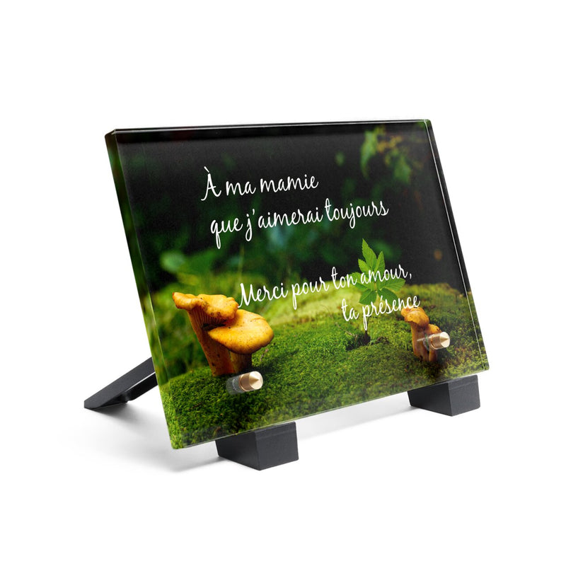 Plaque funéraire plaque-funeraire-champignon 11 Plaquedeces.fr