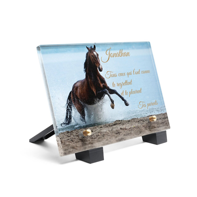 Plaque funéraire cheval-au-bord-de-lac 19 Plaquedeces.fr