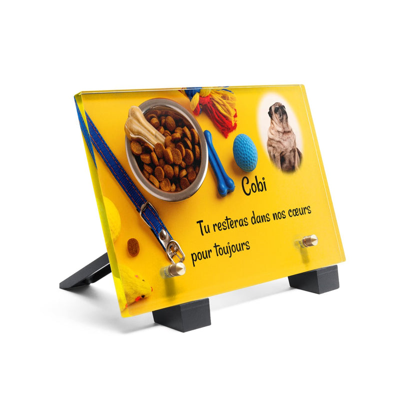 Plaque funéraire accessoires-pour-chiens 13 Plaquedeces.fr