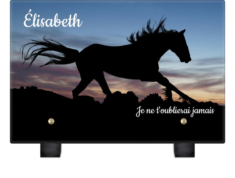 Plaque funéraire silhouette-de-cheval 3 Plaquedeces.fr
