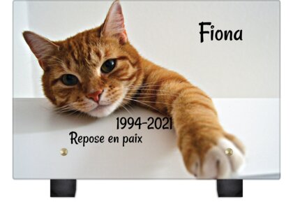 Plaque funéraire chat-orange 15 Plaquedeces.fr
