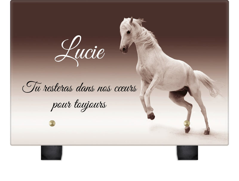 Plaque funéraire cheval-blanc 18 Plaquedeces.fr
