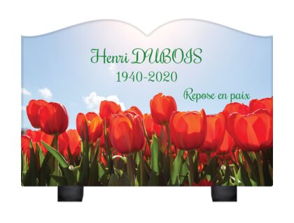 Champ de tulipes forme livre
