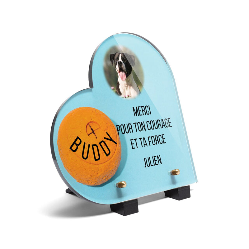 RUIXIA Plaque Commémorative Personnalisée pour Animaux de Compagnie Plaque Funéraire  pour Chiens Chats Plaque de Cimetière pour Votre Chat Plaque Commémorative  en Forme de Coeur : : Animalerie