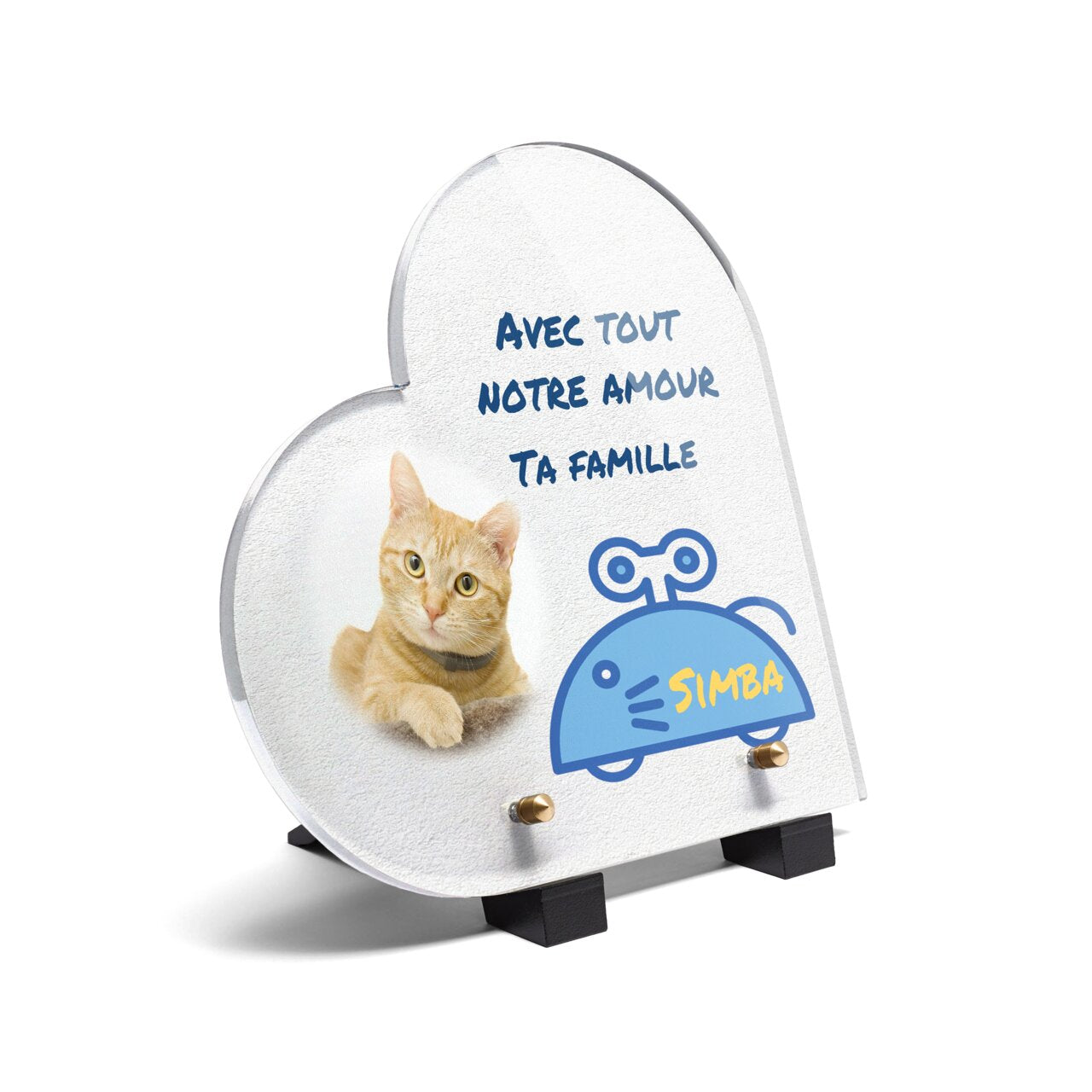 Mémorial pour animaux de compagnie, Cadre commémoratif personnalisé pour  chats, Cadeau de perte de chat, Cadeau de deuil pour animaux de compagnie -   France