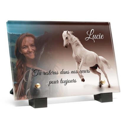 Plaque funéraire cheval-blanc 18 Plaquedeces.fr
