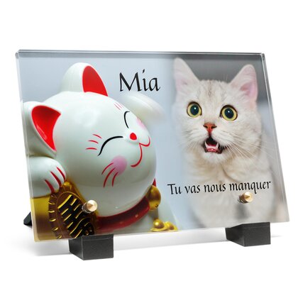 Plaque funéraire chat-de-la-chance 25 Plaquedeces.fr
