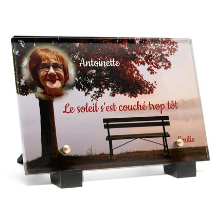 Plaque funéraire banc 11 Plaquedeces.fr
