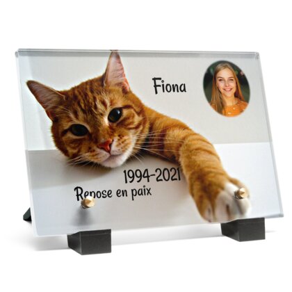 Plaque funéraire chat-orange 15 Plaquedeces.fr
