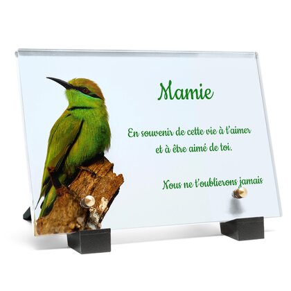 Plaque funéraire bel-oiseau-vert 19 Plaquedeces.fr
