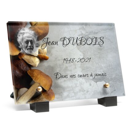 Plaque funéraire champignons-sur-pierre 28 Plaquedeces.fr
