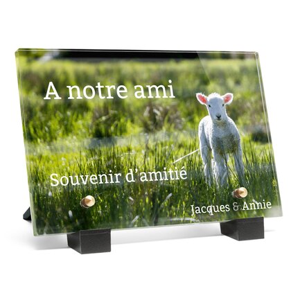 Plaque funéraire agneau 4 Plaquedeces.fr
