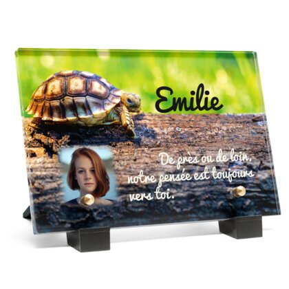 Plaque funéraire plaque-funeraire-tortue 10 Plaquedeces.fr
