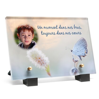 Plaque funéraire papillon-blanc 20 Plaquedeces.fr
