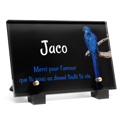 Plaque funéraire perroquet-bleu 6 Plaquedeces.fr
