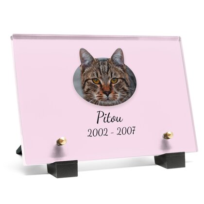 Plaque funéraire chat-cartoon 25 Plaquedeces.fr
