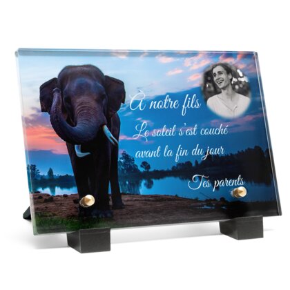 Plaque funéraire plaque-funeraire-elephant 24 Plaquedeces.fr
