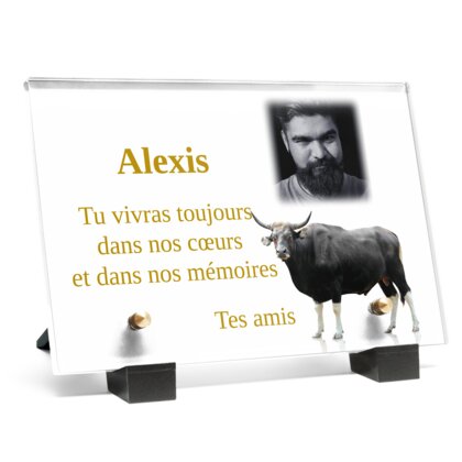 Plaque funéraire plaque-funeraire-taureau 20 Plaquedeces.fr
