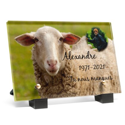 Plaque funéraire plaque-funeraire-brebis 1 Plaquedeces.fr
