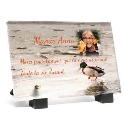 Plaque funéraire plaque-funeraire-canard 5 Plaquedeces.fr
