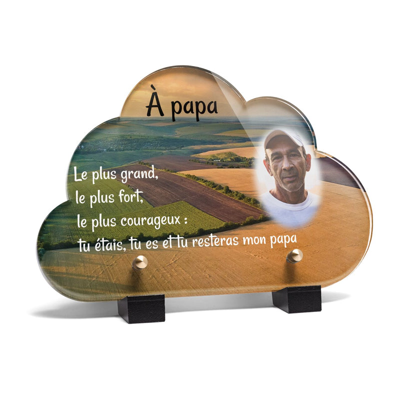 Plaque funéraire champs-vus-du-ciel-forme-nuage 10 Plaquedeces.fr
