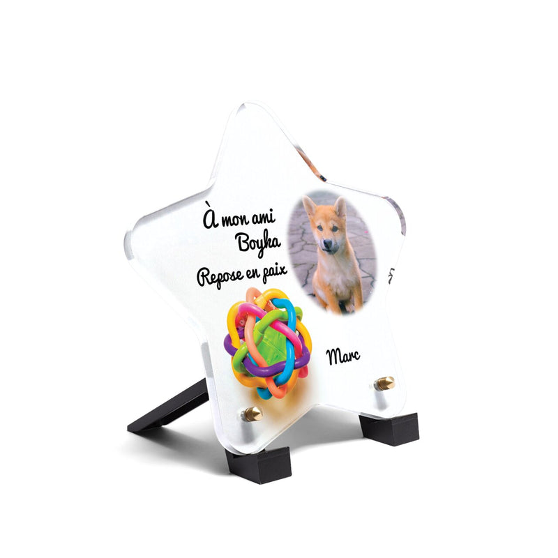 Plaque funéraire balle-pour-chiens-forme-etoile 30 Plaquedeces.fr