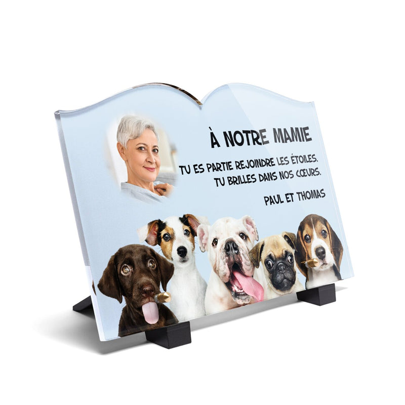 Plaque funéraire mignons-chiots-forme-livre 25 Plaquedeces.fr