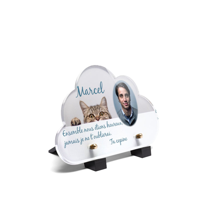 Plaque funéraire chat-qui-se-cache-forme-nuage 14 Plaquedeces.fr