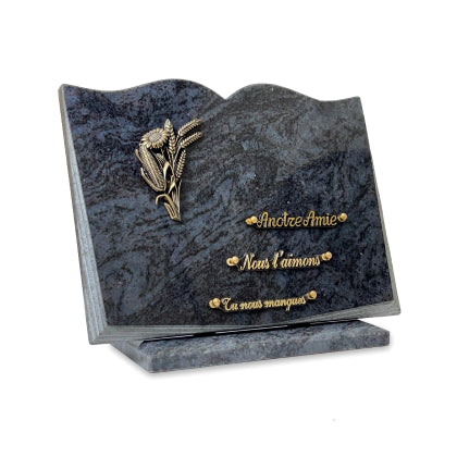 Plaque funéraire livre-sur-socle 28 Plaquedeces.fr
