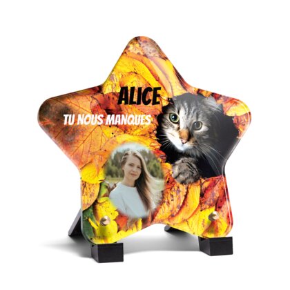 Plaque funéraire chaton-parmi-des-feuilles-forme-etoile 24 Plaquedeces.fr
