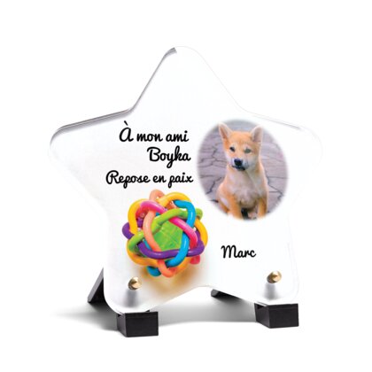 Plaque funéraire balle-pour-chiens-forme-etoile 14 Plaquedeces.fr
