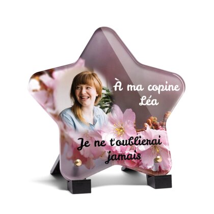 Plaque funéraire fleurs-de-cerisier-forme-etoile 29 Plaquedeces.fr
