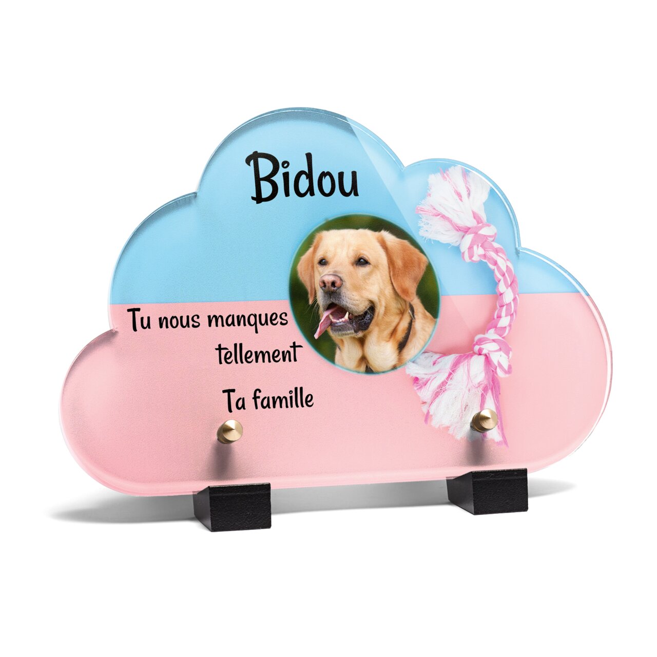 Plaque funéraire jouet-et-bol-pour-chiens-forme-nuage 26 Plaquedeces.fr
