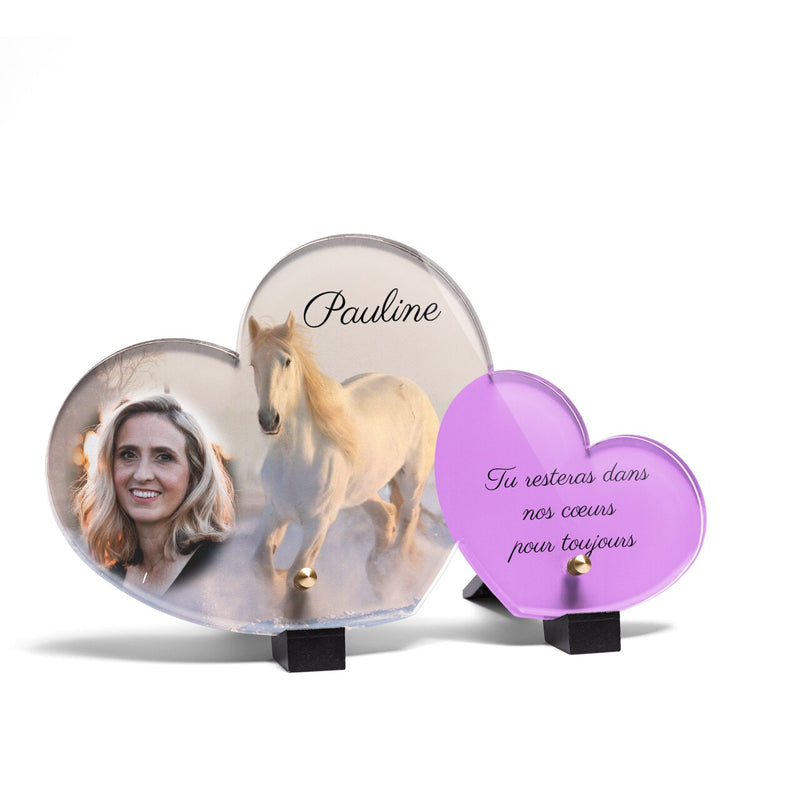Plaque funéraire cheval-neige-forme-double-coeur 10 Plaquedeces.fr
