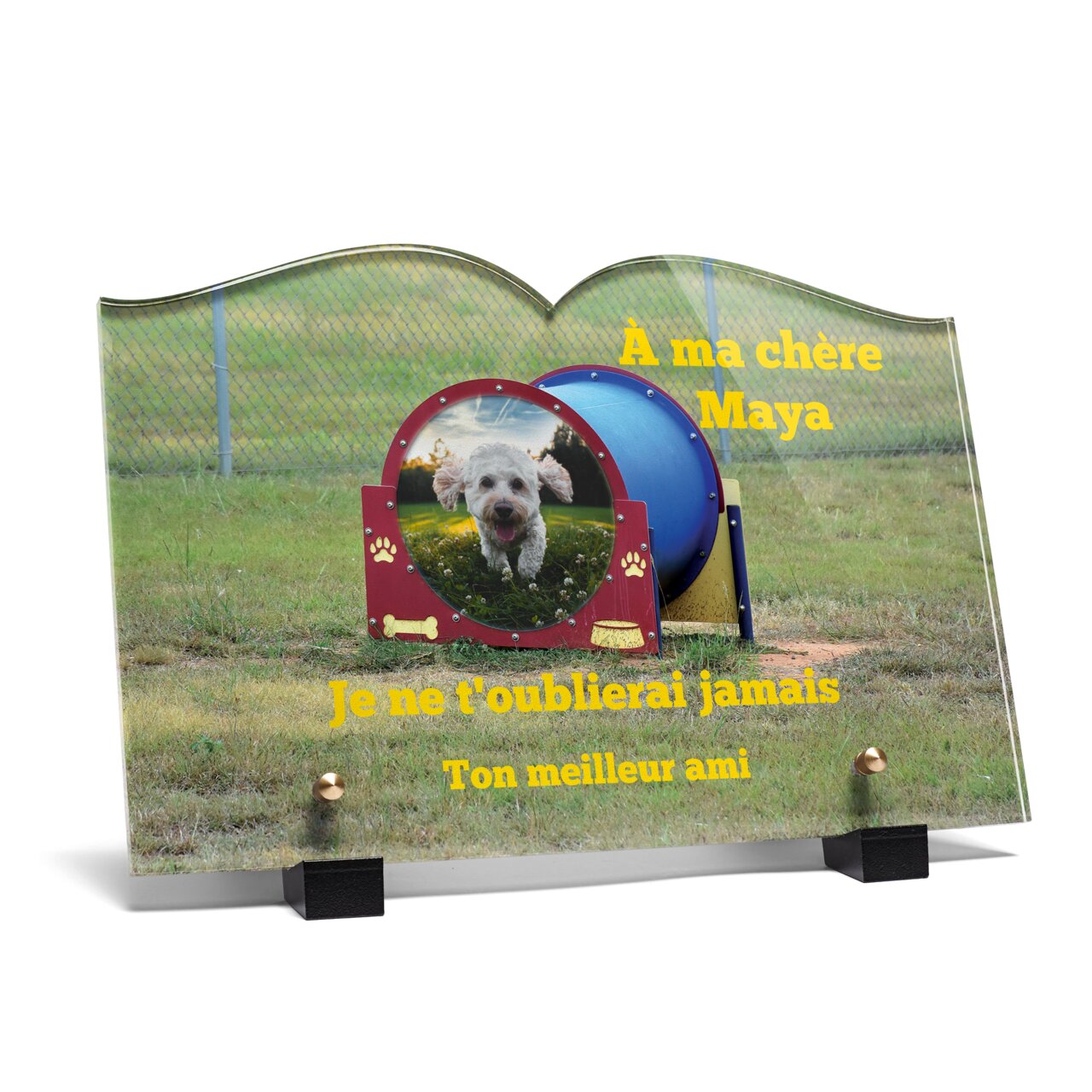 Plaque funéraire parc-canin-forme-livre 3 Plaquedeces.fr
