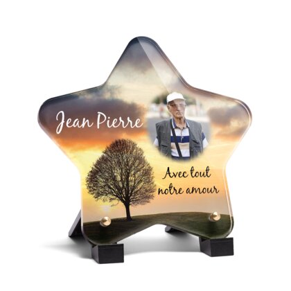 Plaque funéraire arbre-sous-ciel-orange-forme-etoile 16 Plaquedeces.fr
