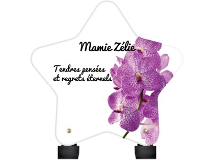 Plaque funéraire magnifiques-orchidees-forme-etoile 15 Plaquedeces.fr

