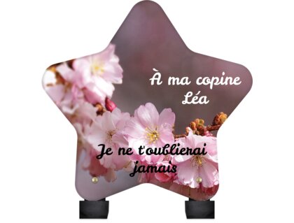 Plaque funéraire fleurs-de-cerisier-forme-etoile 29 Plaquedeces.fr

