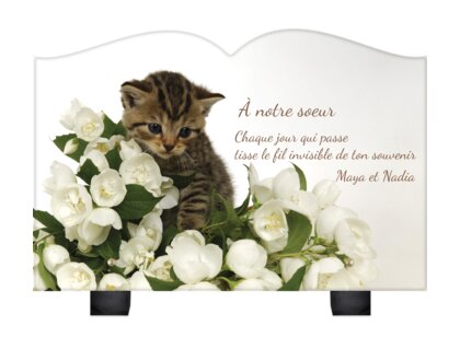 Plaque funéraire chaton-sur-fleurs-blanches-forme-livre 14 Plaquedeces.fr
