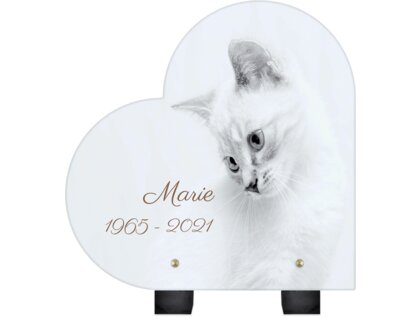 Plaque funéraire chat-blanc-forme-coeur 13 Plaquedeces.fr
