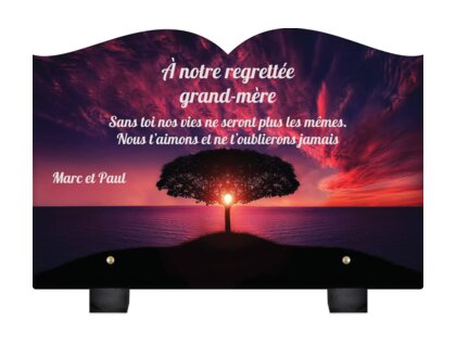 Plaque funéraire arbre-spirituel-forme-livre 28 Plaquedeces.fr
