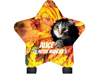 Plaque funéraire chaton-parmi-des-feuilles-forme-etoile 24 Plaquedeces.fr
