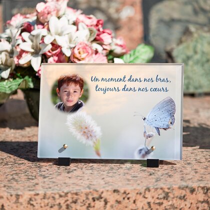 Plaque funéraire papillon-blanc 13 Plaquedeces.fr
