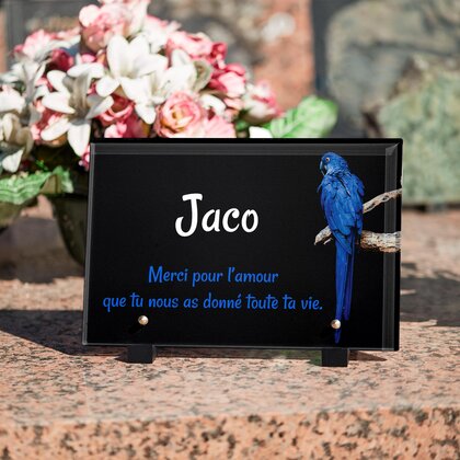 Plaque funéraire perroquet-bleu 5 Plaquedeces.fr
